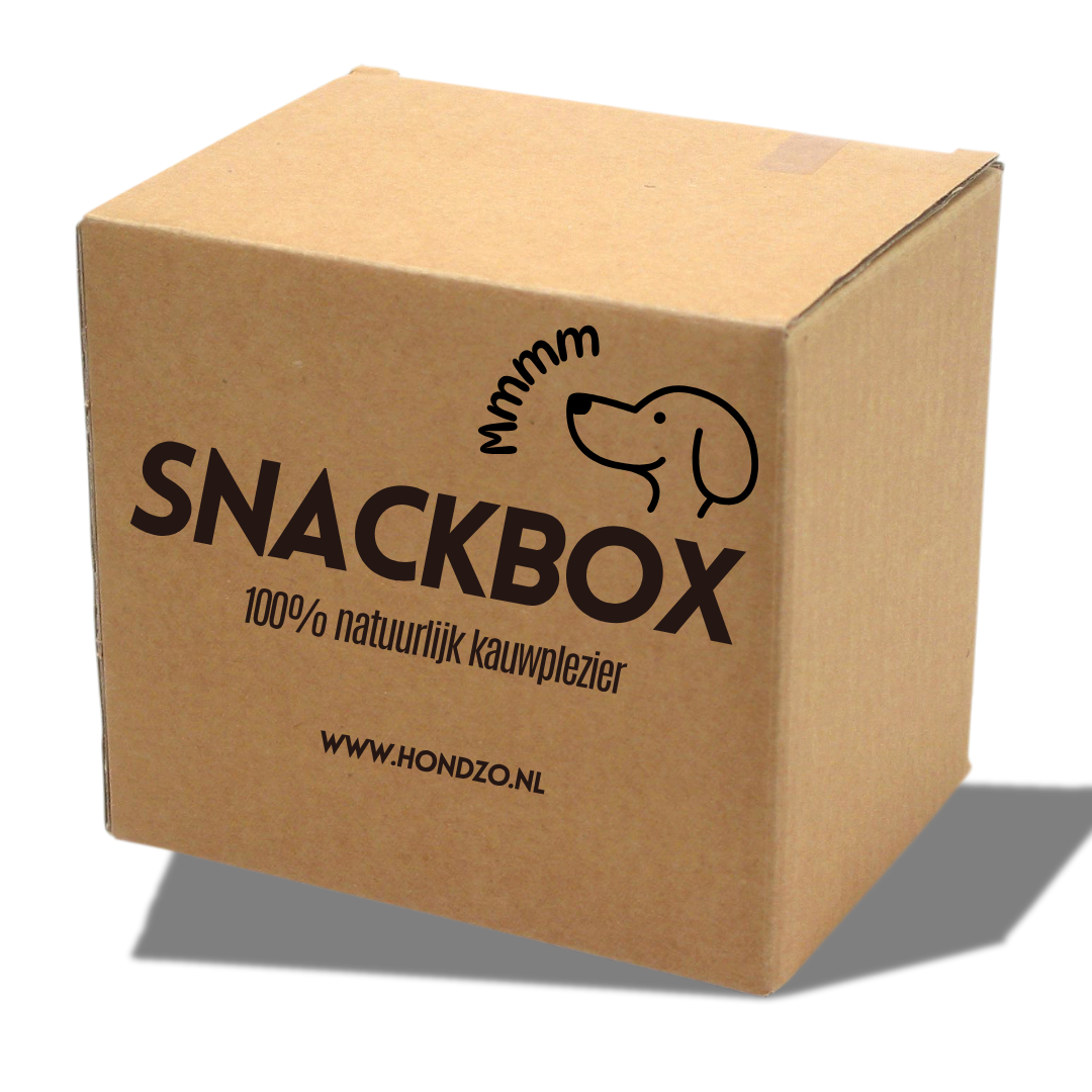 Hondzo - SNACKBOX